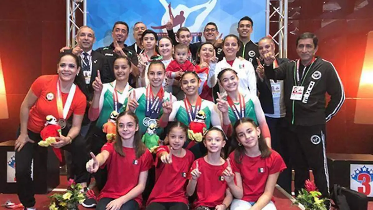 37d segunda