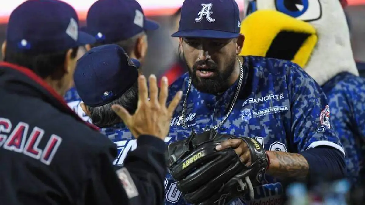 WhatsApp Image 2018-11-25 at 18.59.22