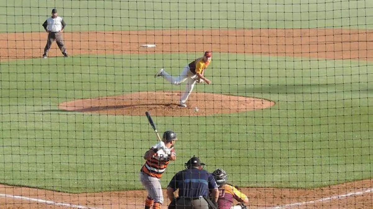 740d7c9d-788b-4850-99b2-dce190699d09