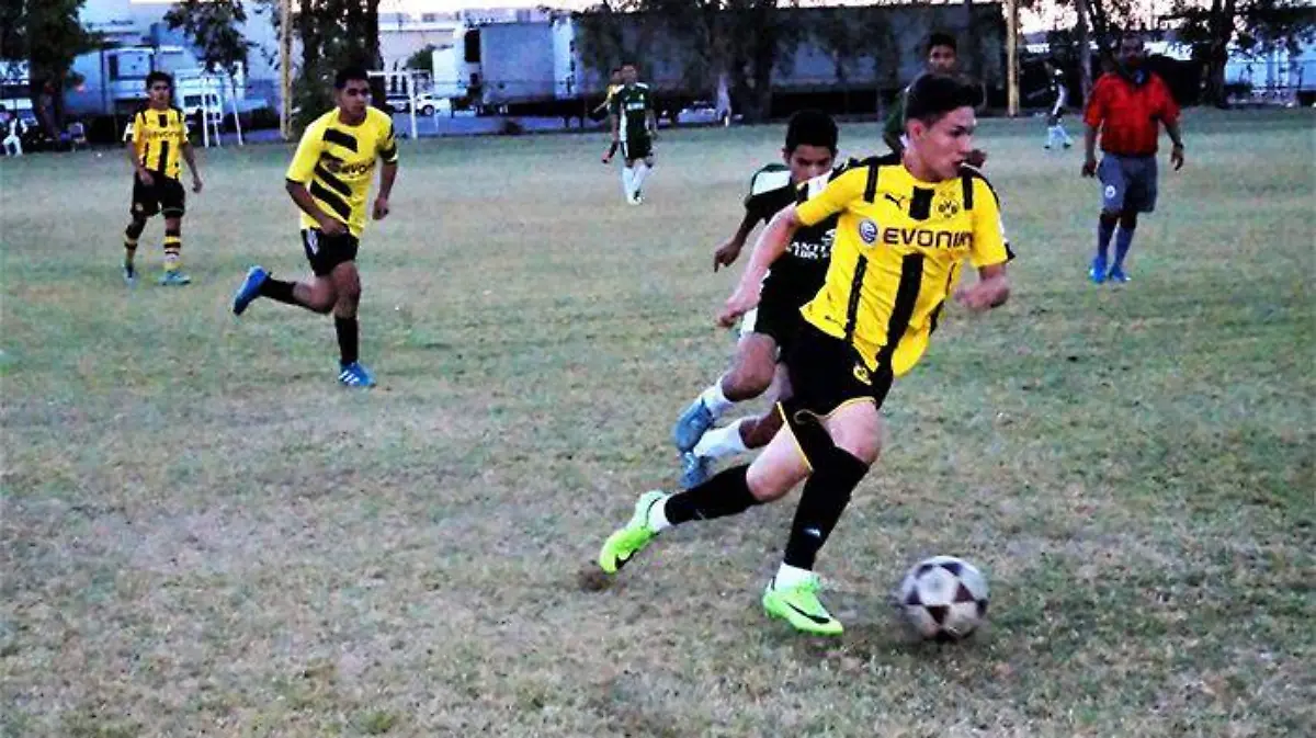 WhatsApp Image 2019-01-22 at 2.51