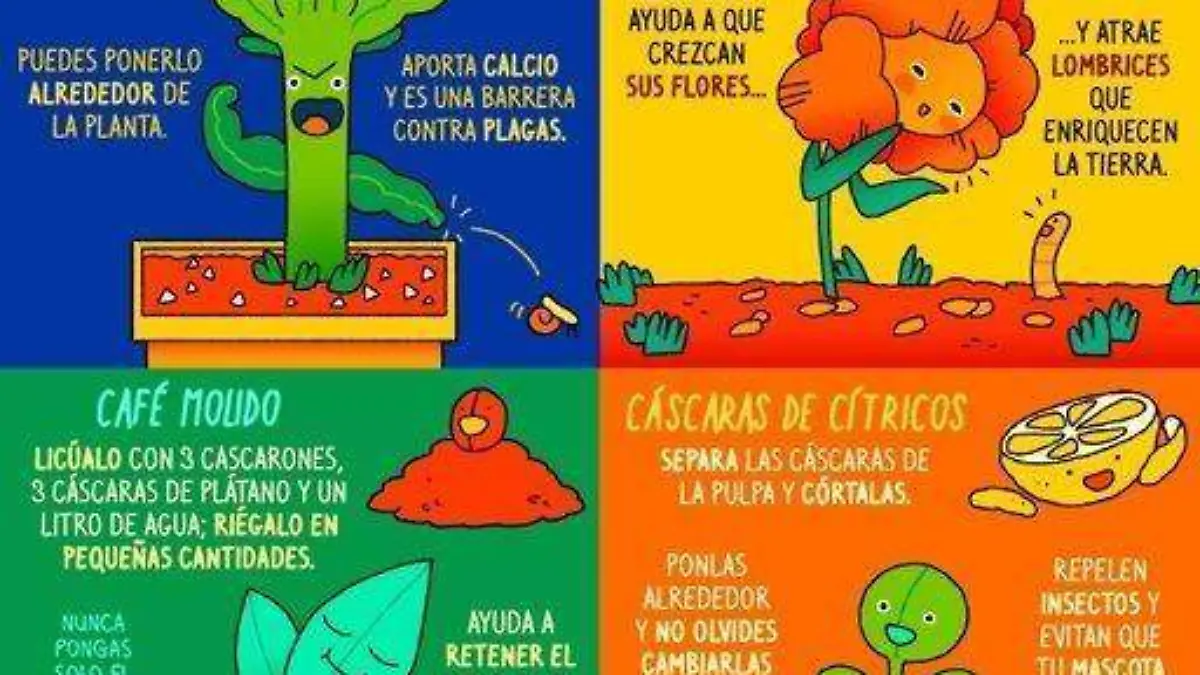 composta-ilustracion