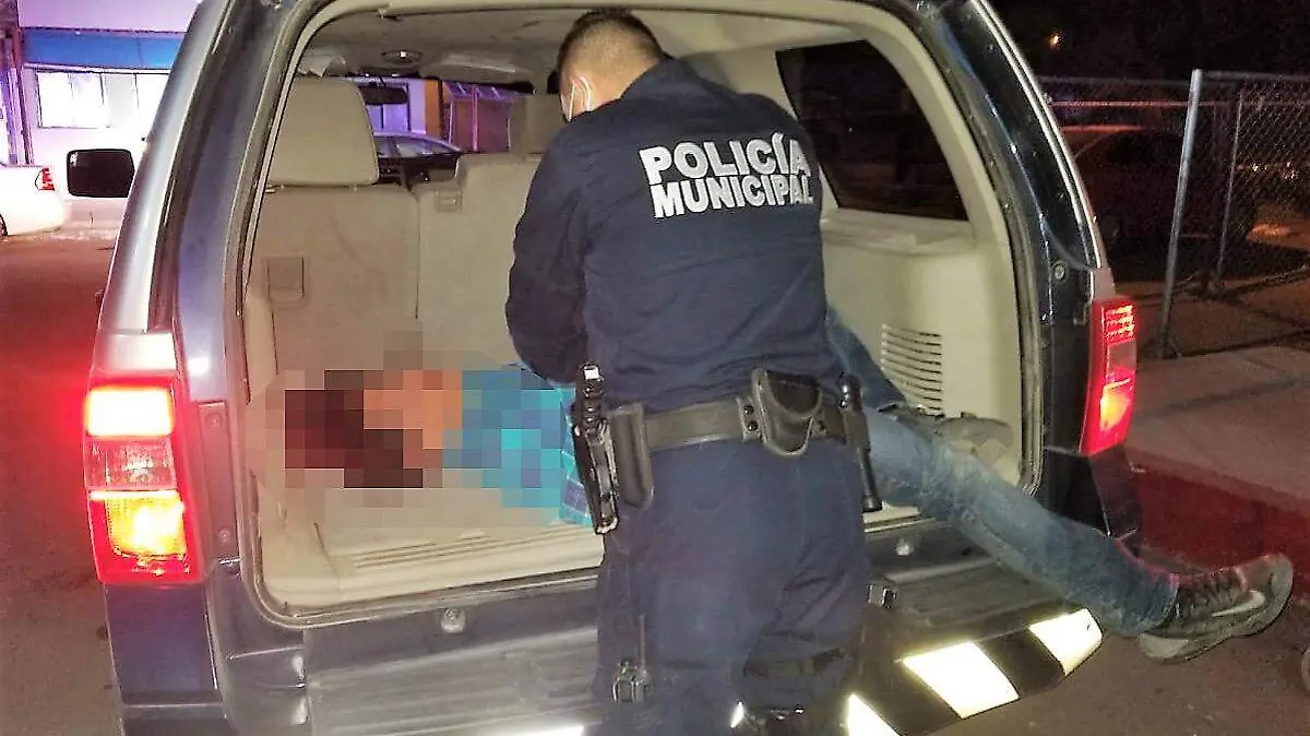 97537778-94db-439e-958c-3c937e2e5526