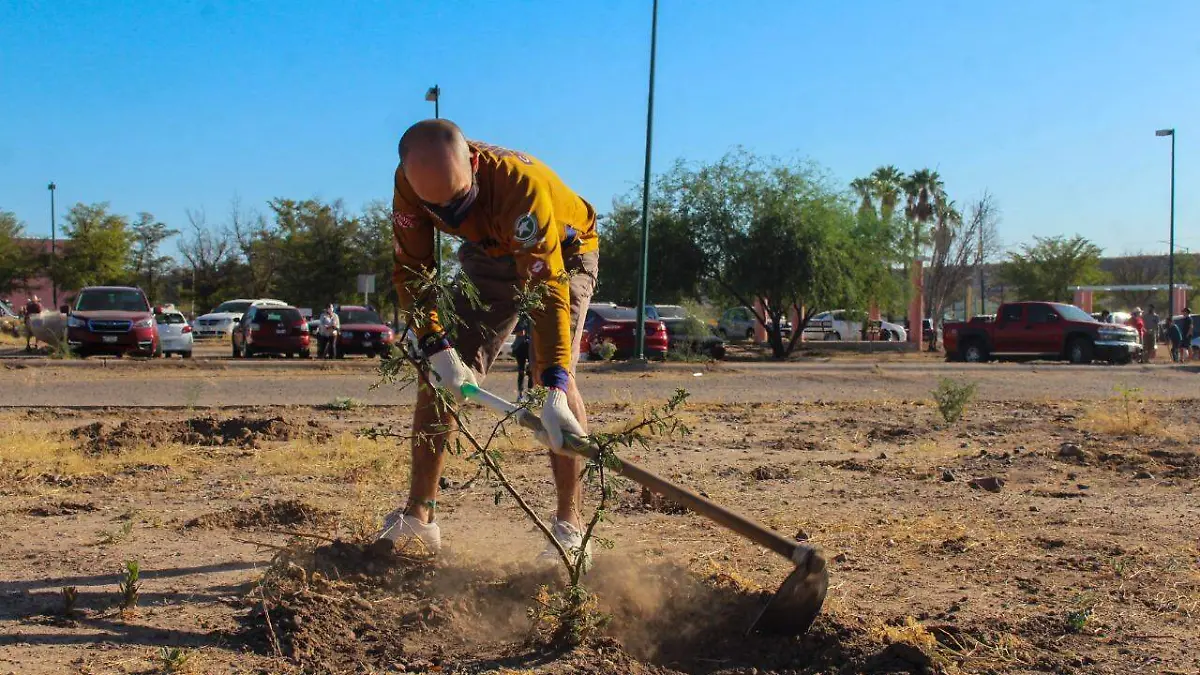 hermosillo-medio-ambiente 3