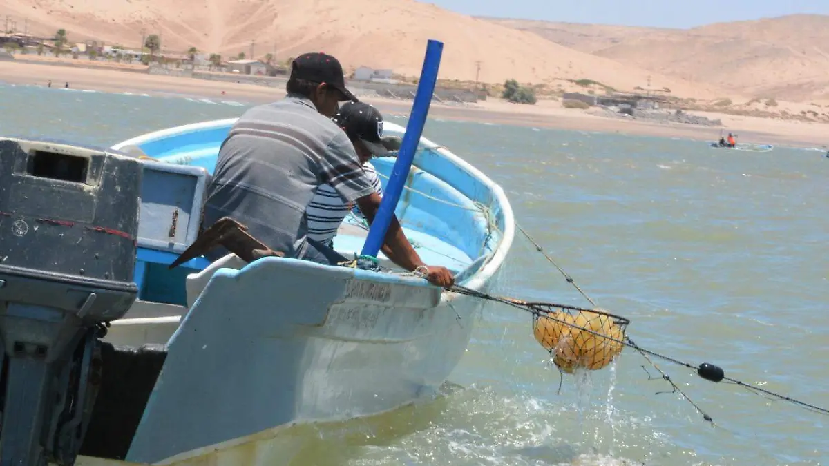 WhatsApp Image 2022-07-20 at 12.43.06 PM (1)