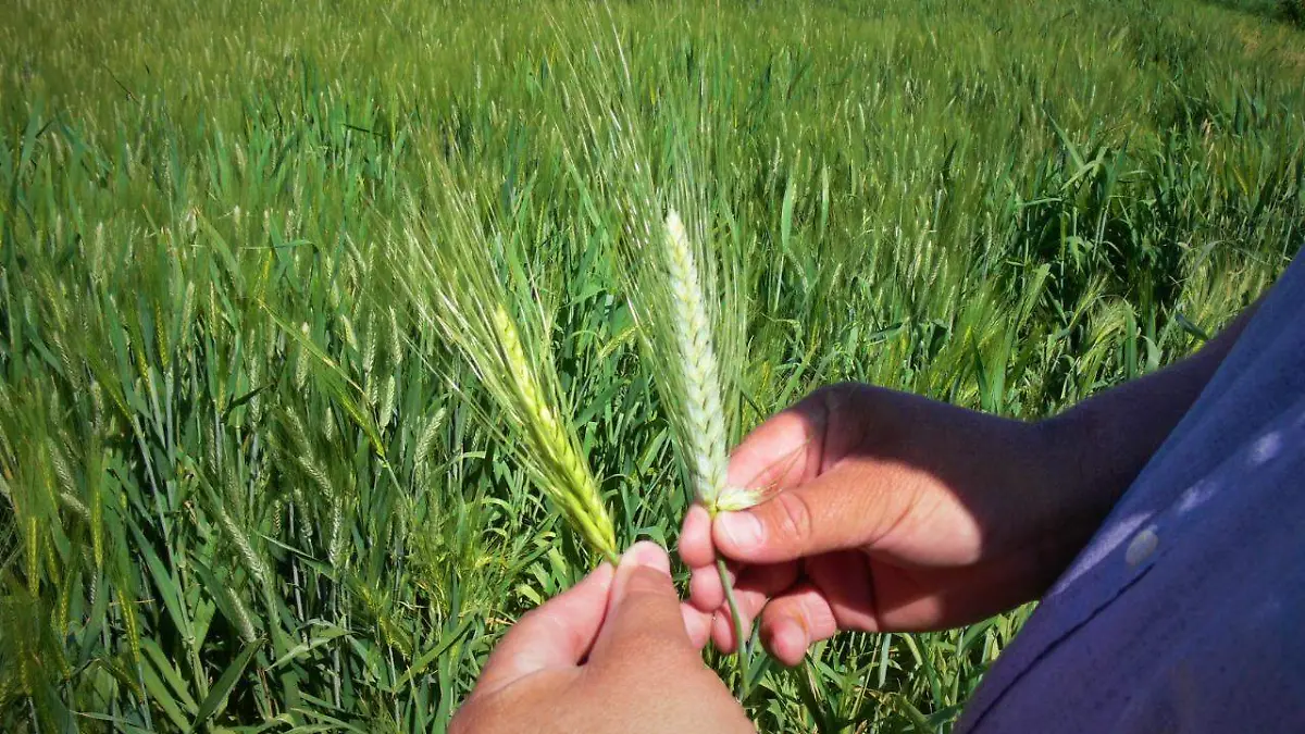 1bb7870d-2cef-44dc-bc01-dbb03793923c