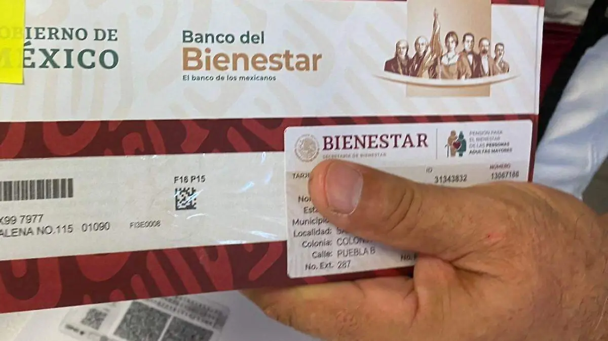 programas del bienestar 