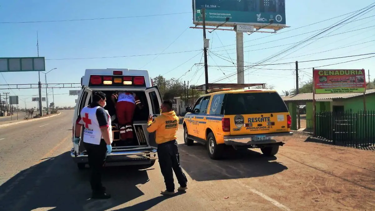 WhatsApp Image 2021-02-20 at 3.27.50 PM