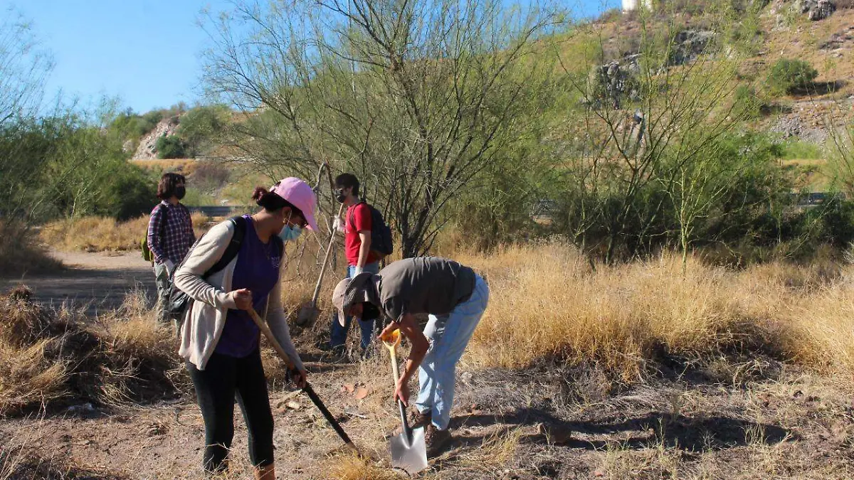 hermosillo-medio-ambiente 2