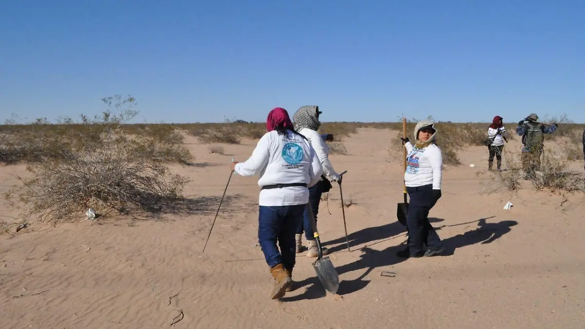 madres buscadoras en san luis rio colorador