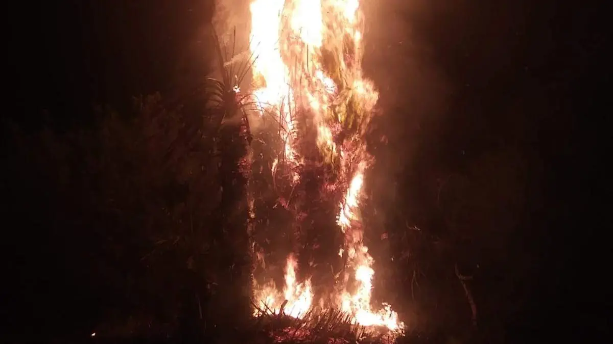 incendio