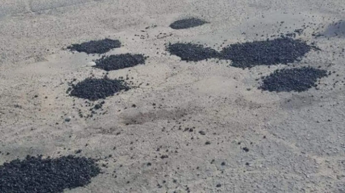 baches