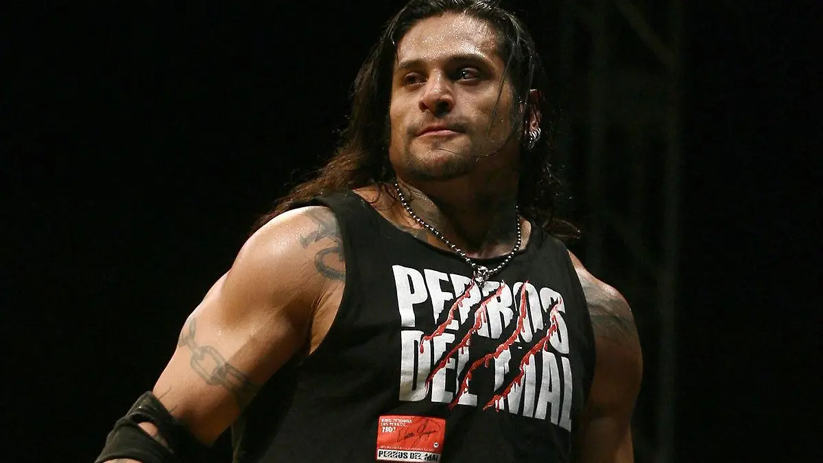 cibernetico