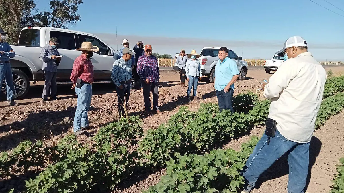 agricultores