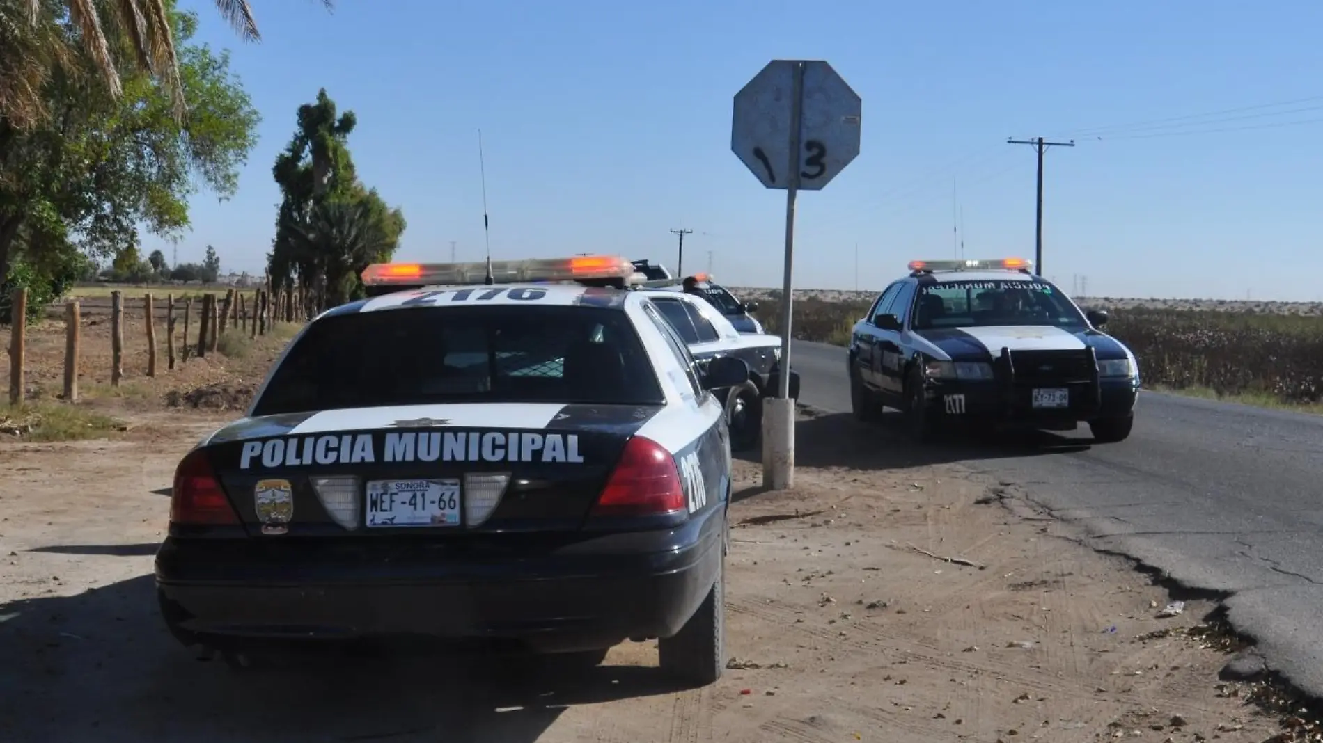 policiaca