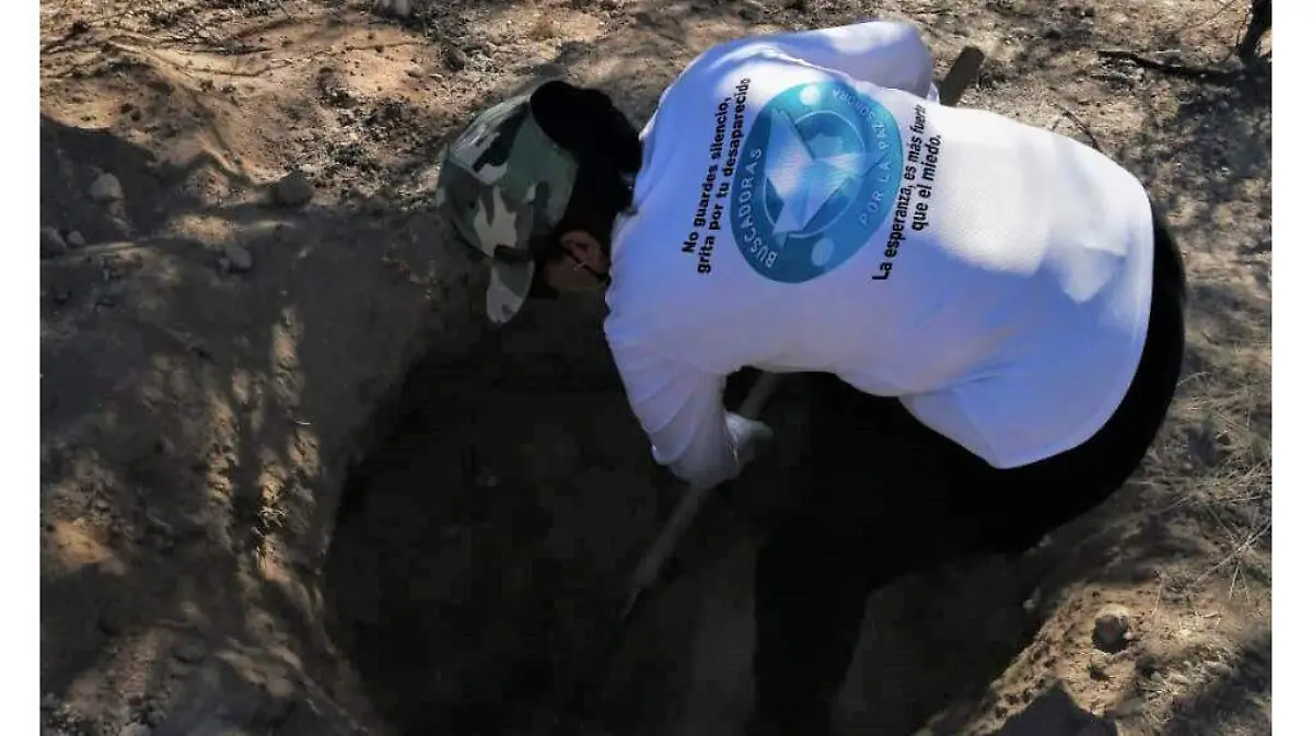 bcdbe25f-f8d4-420f-a5ee-cd38ea35903c