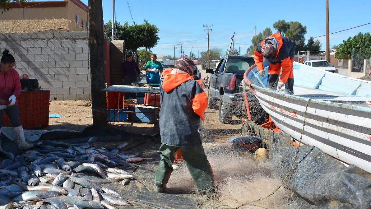 golfo-pescadores