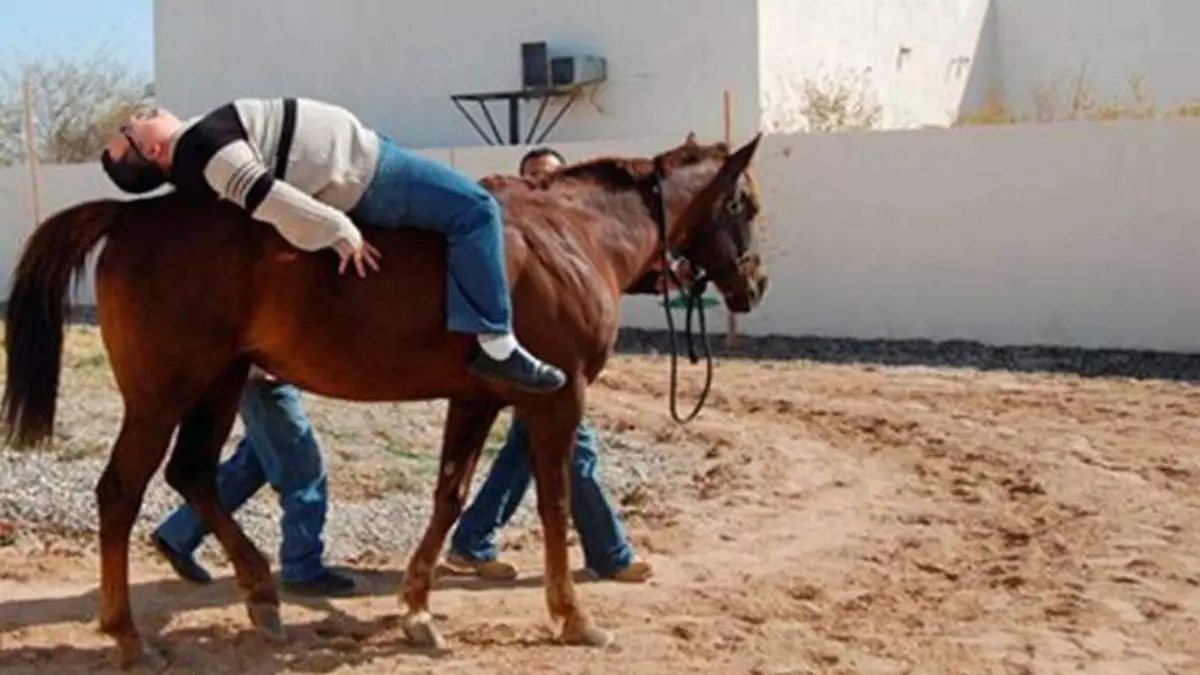 equinoterapía