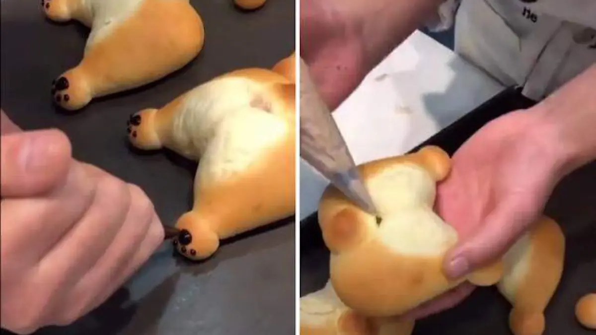 trasero de corgis