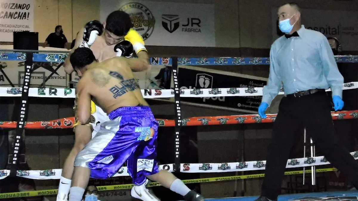 boxeo