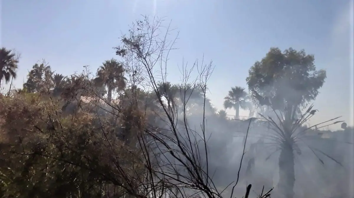 Apagan los bomberos de Luis B. Sánchez otro incendio de basura y maleza en el dren de la colonia Guadalupe