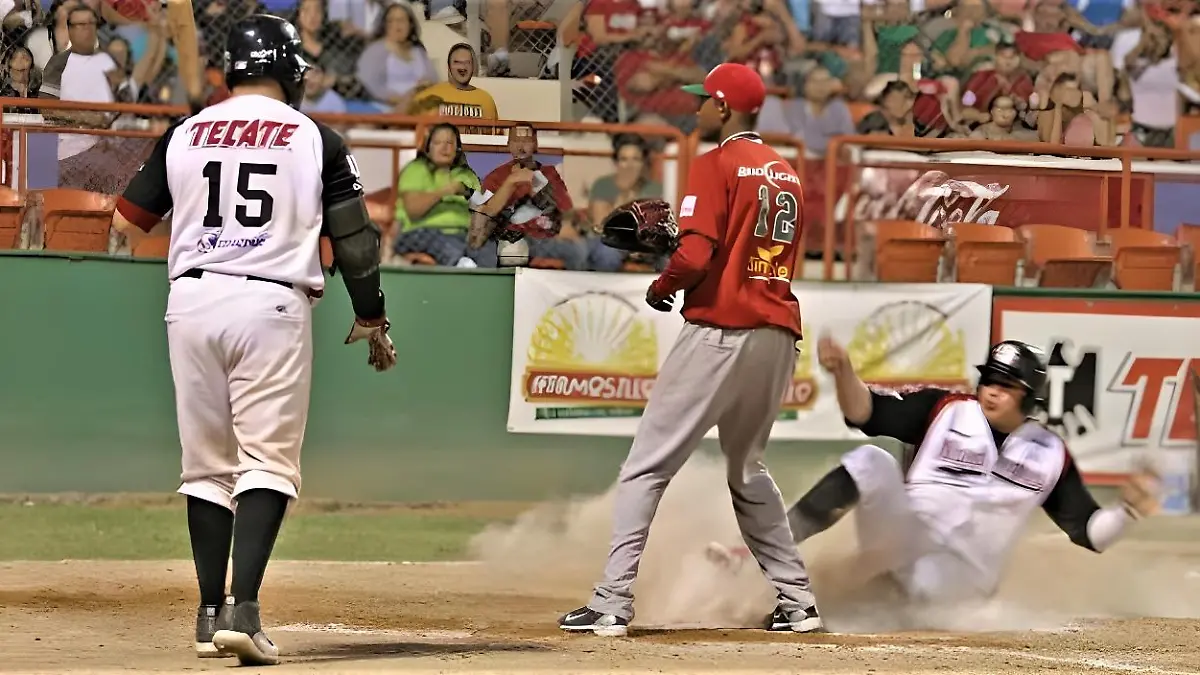 algodoneros