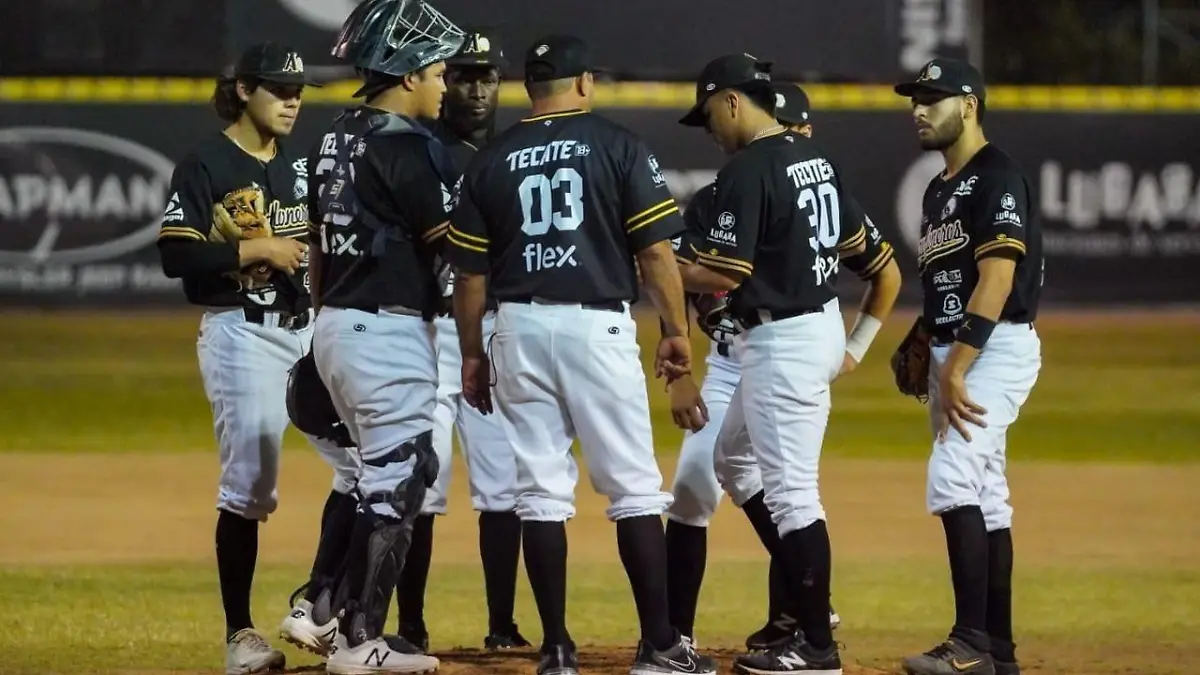 algodoneros