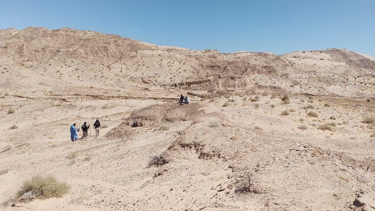 Solo restos óseos de 2 personas fueron encontrados por el colectivo de Puerto Peñasco, en dos días de trabajo bajo los intensos rayos del sol