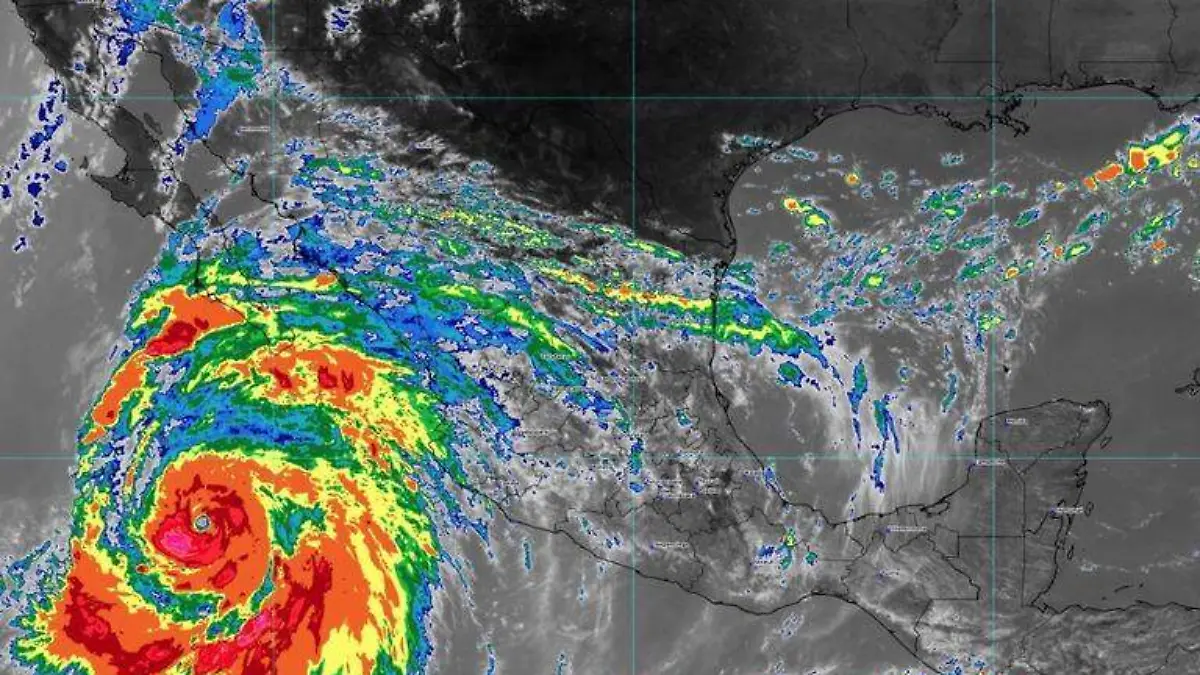 WhatsApp Image 2023-08-18 at 12.23.37 PM