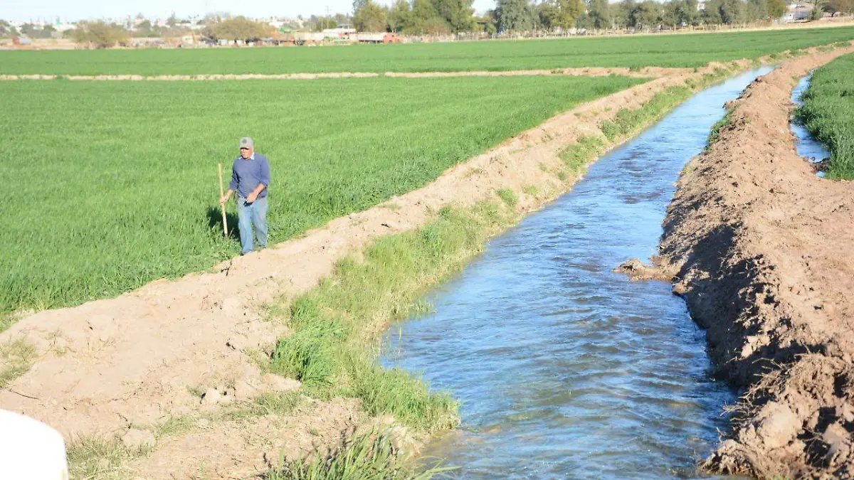 Agua 1