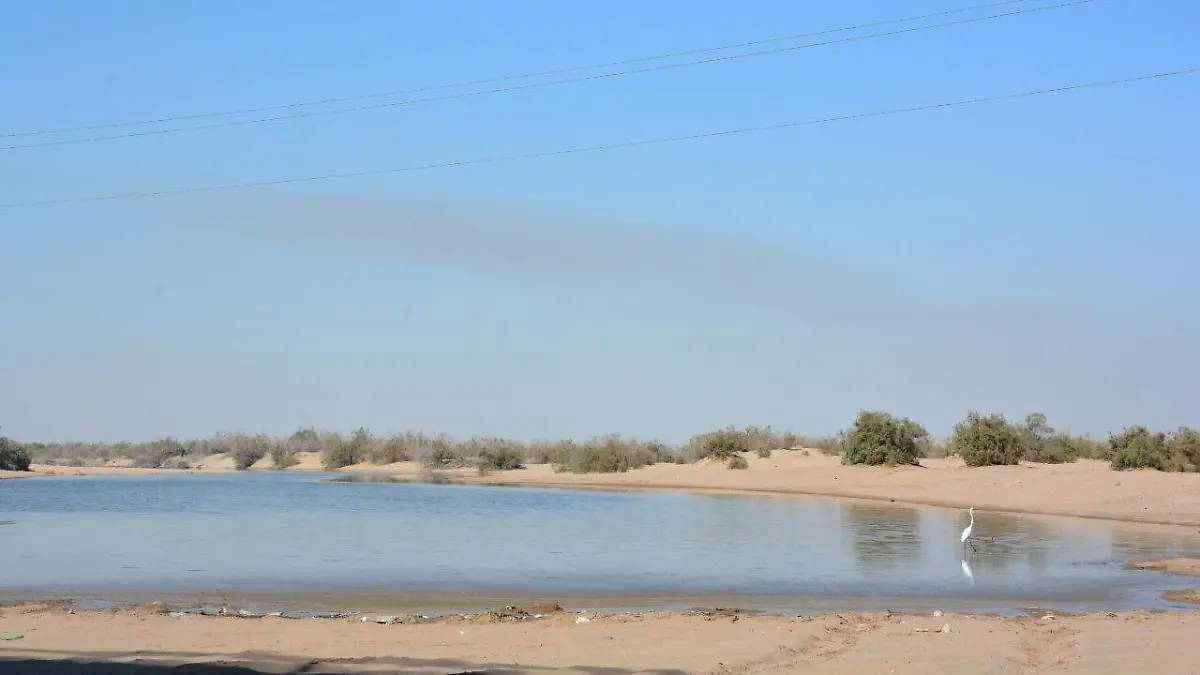 WhatsApp Image 2021-07-21 at 4.08.59 PM