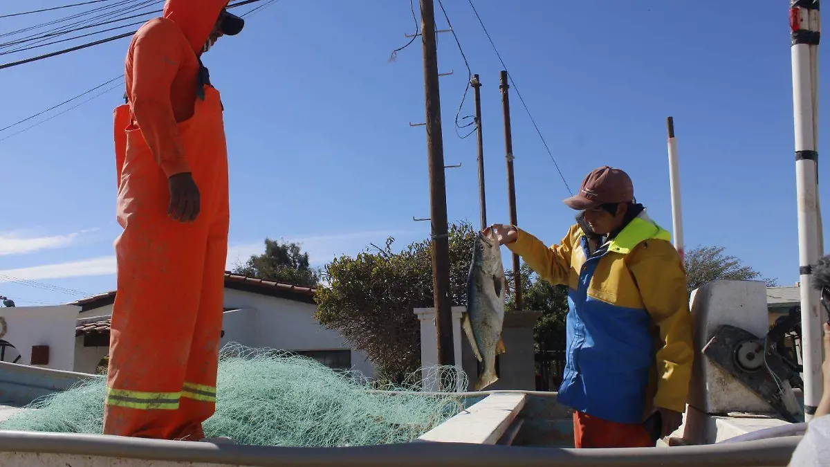 La federación quiere revertir la sanción de Cites 