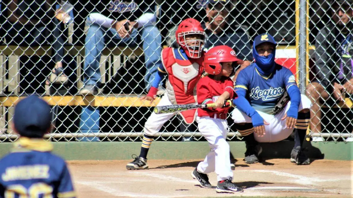 WhatsApp Image 2022-08-22 at 12.15.26 PM