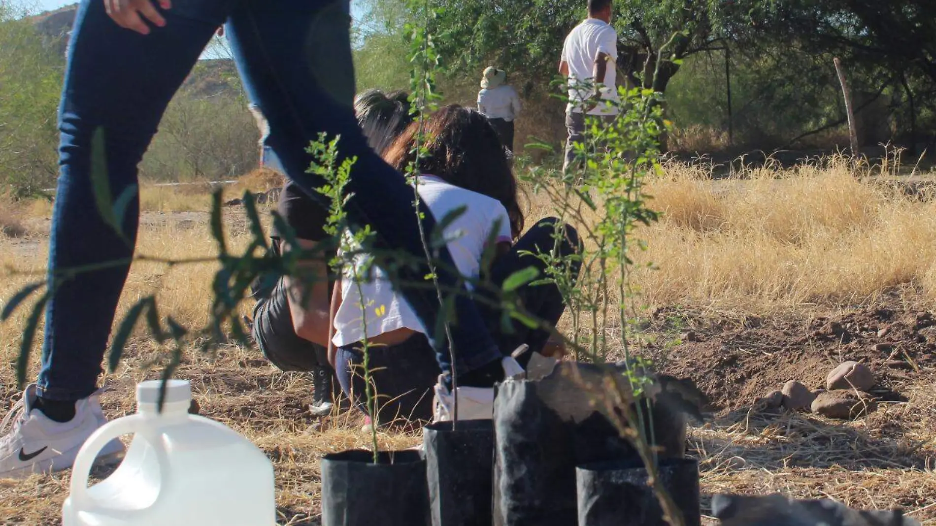 hermosillo-medio-ambiente