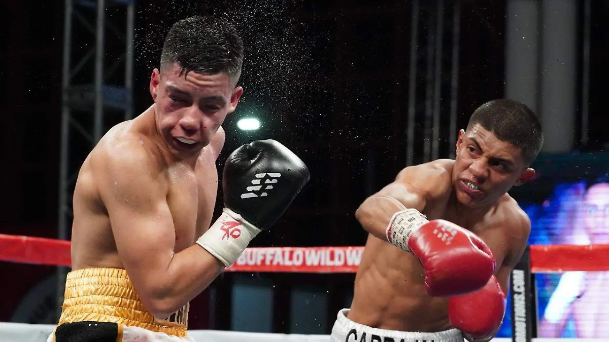 WhatsApp Image 2020-12-01 at 9.49.49 AM