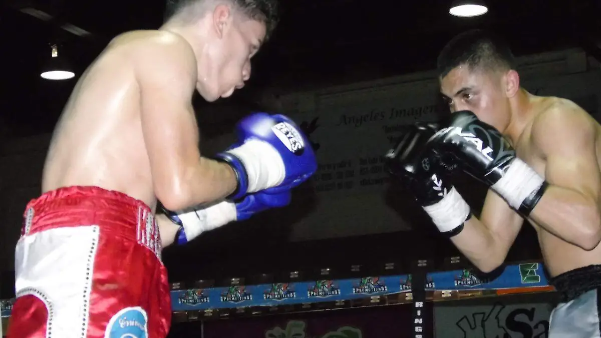 WhatsApp Image 2021-06-26 at 10.02.52 AM