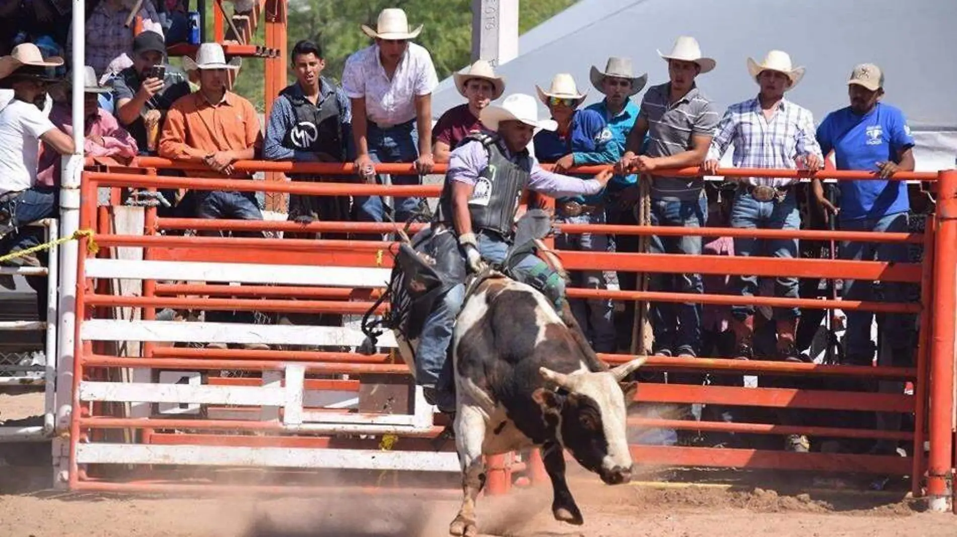 vaqueros-de-san-luis