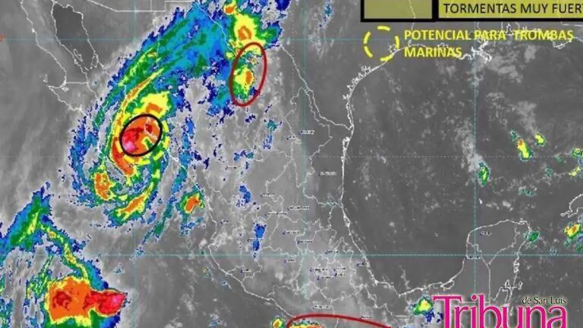 WhatsApp Image 2019-09-24 at 7.49.35 PM