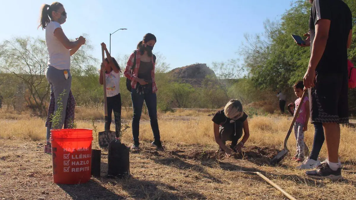 hermosillo-medio-ambiente 1
