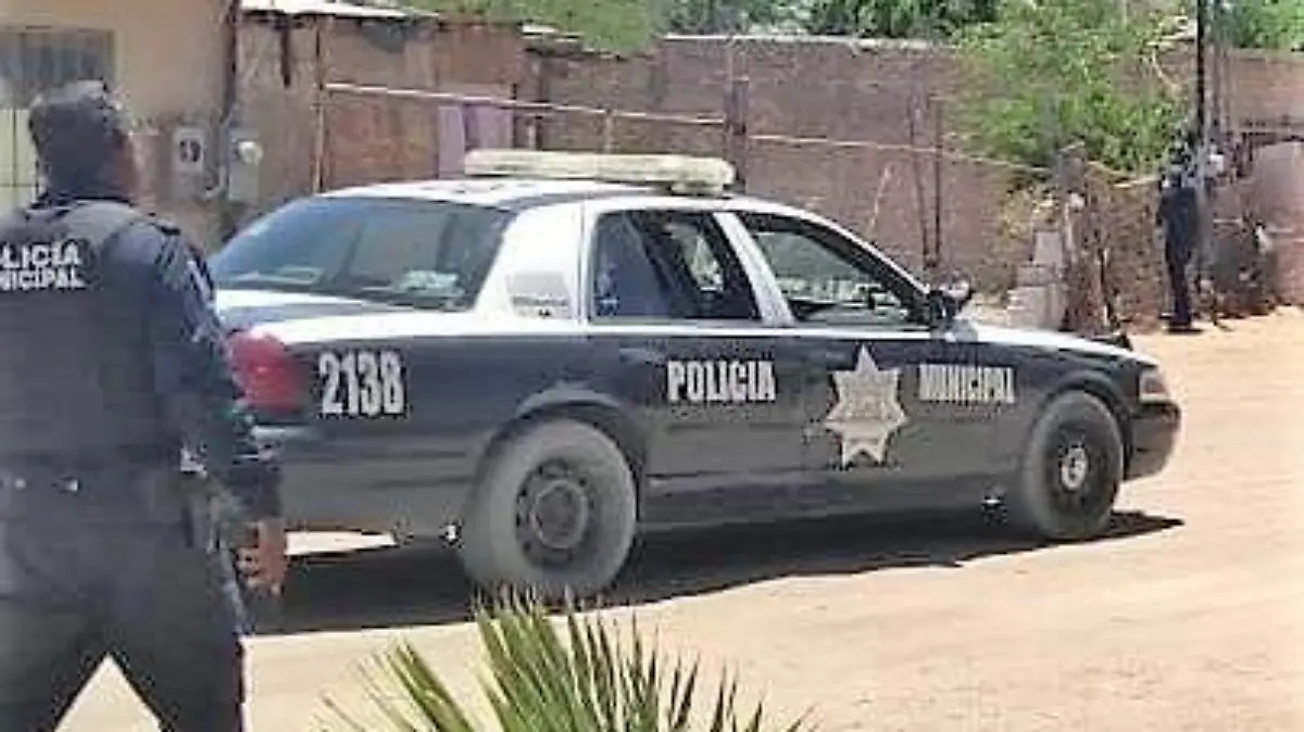 21bddec2-6826-4318-bd9a-7111383c5d01