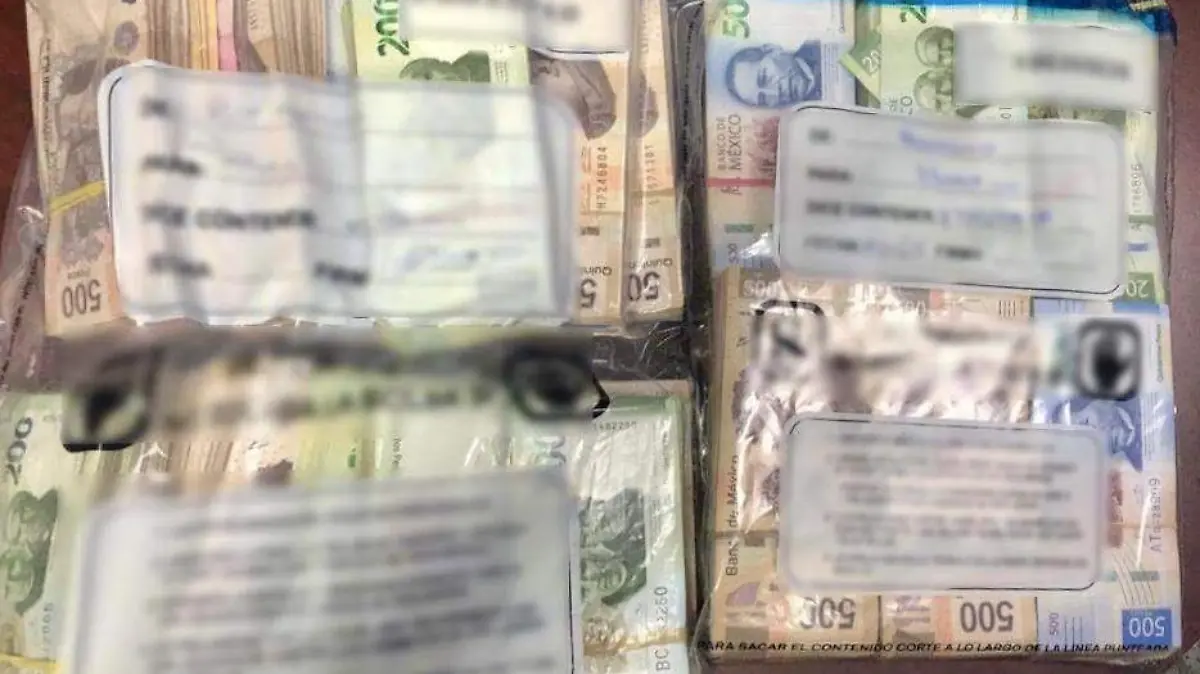 C9DB8389-049A-4723-B6E3-14D6EBEA1AAE