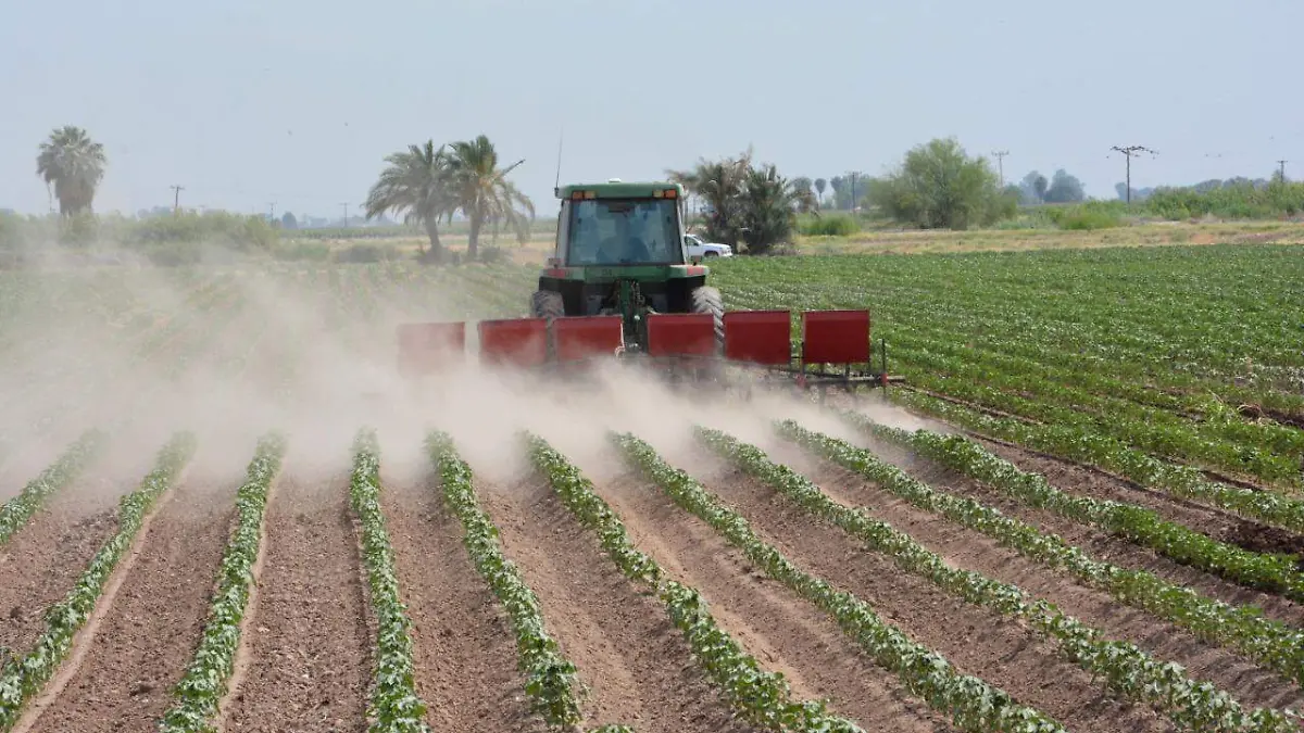 agricultura