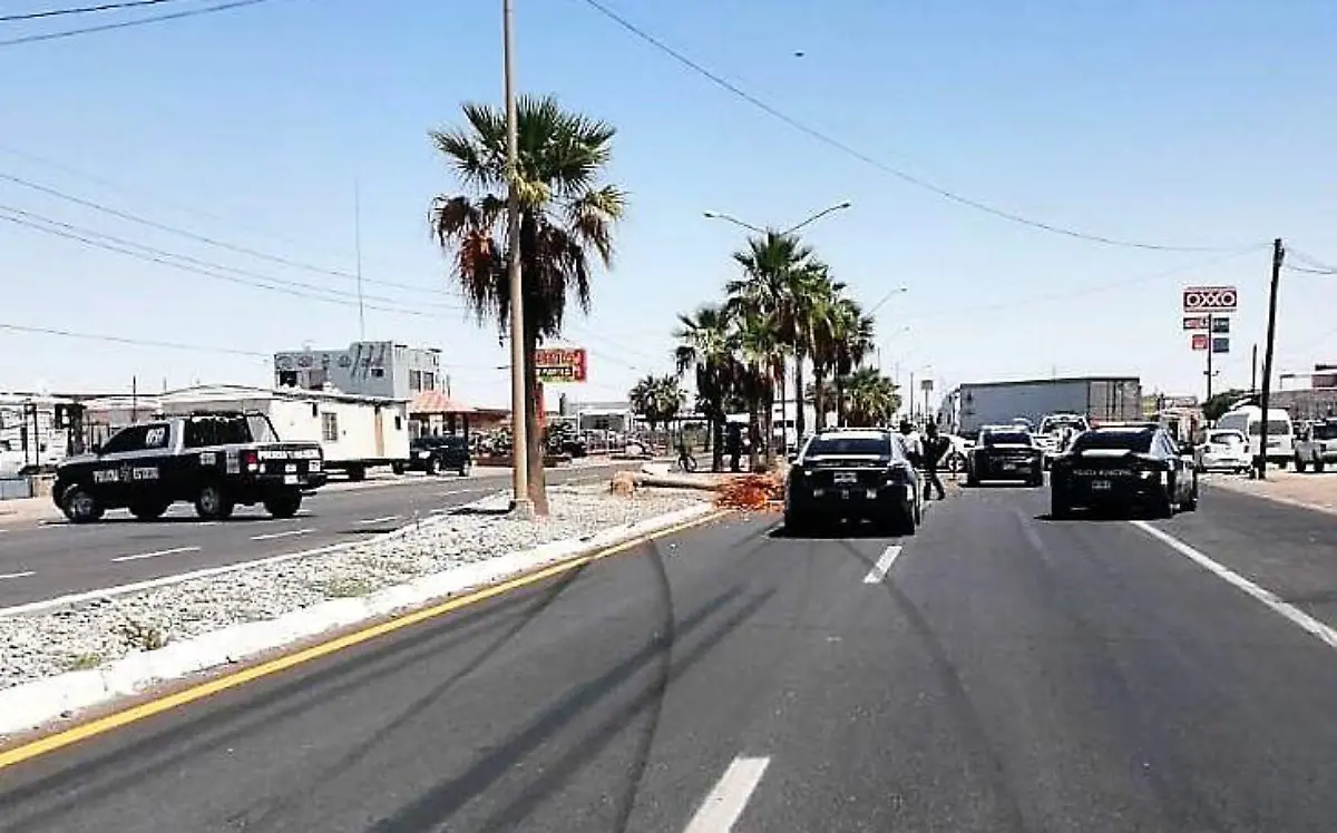 WhatsApp Image 2020-05-27 at 11.41.05 AM