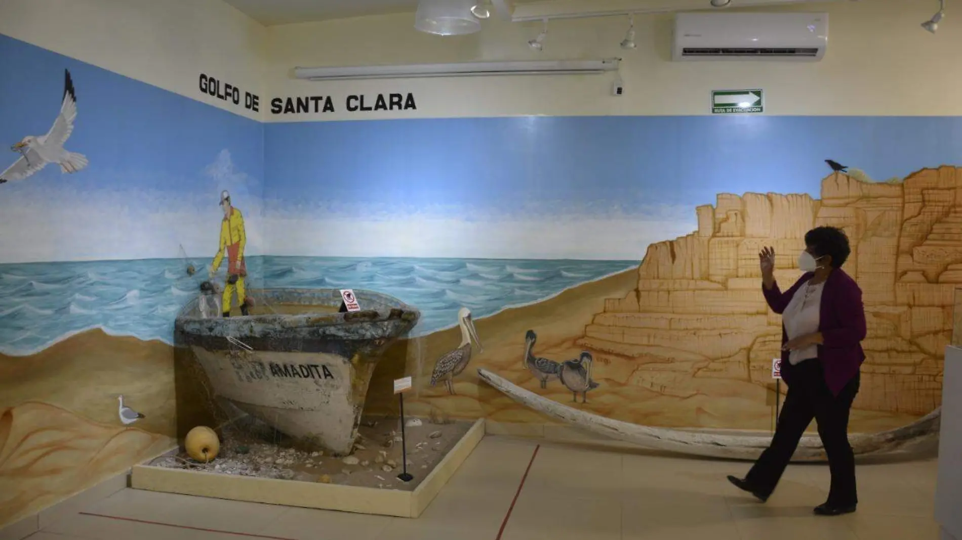 golfo-de-santa-clara-museo