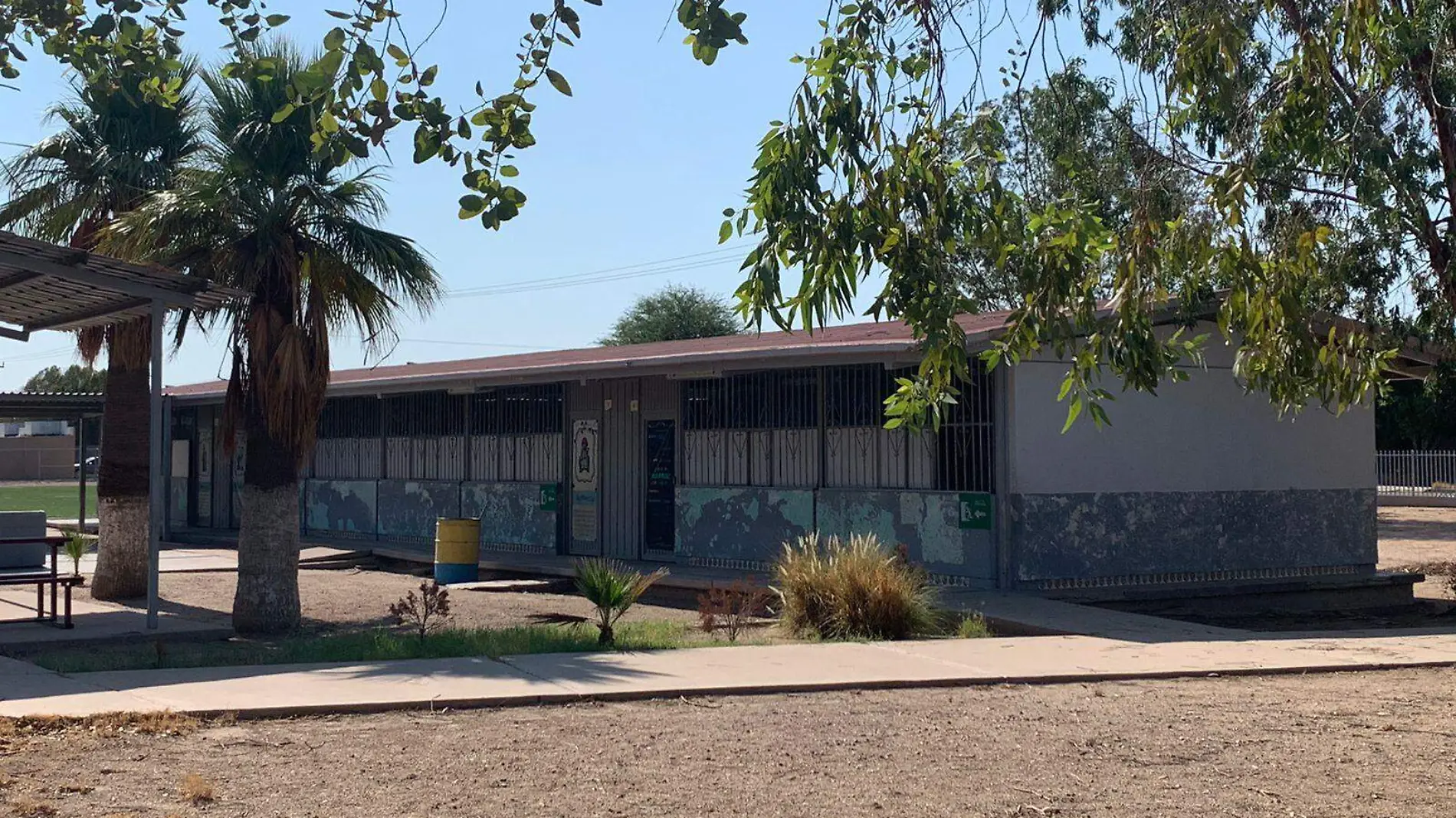 escuela