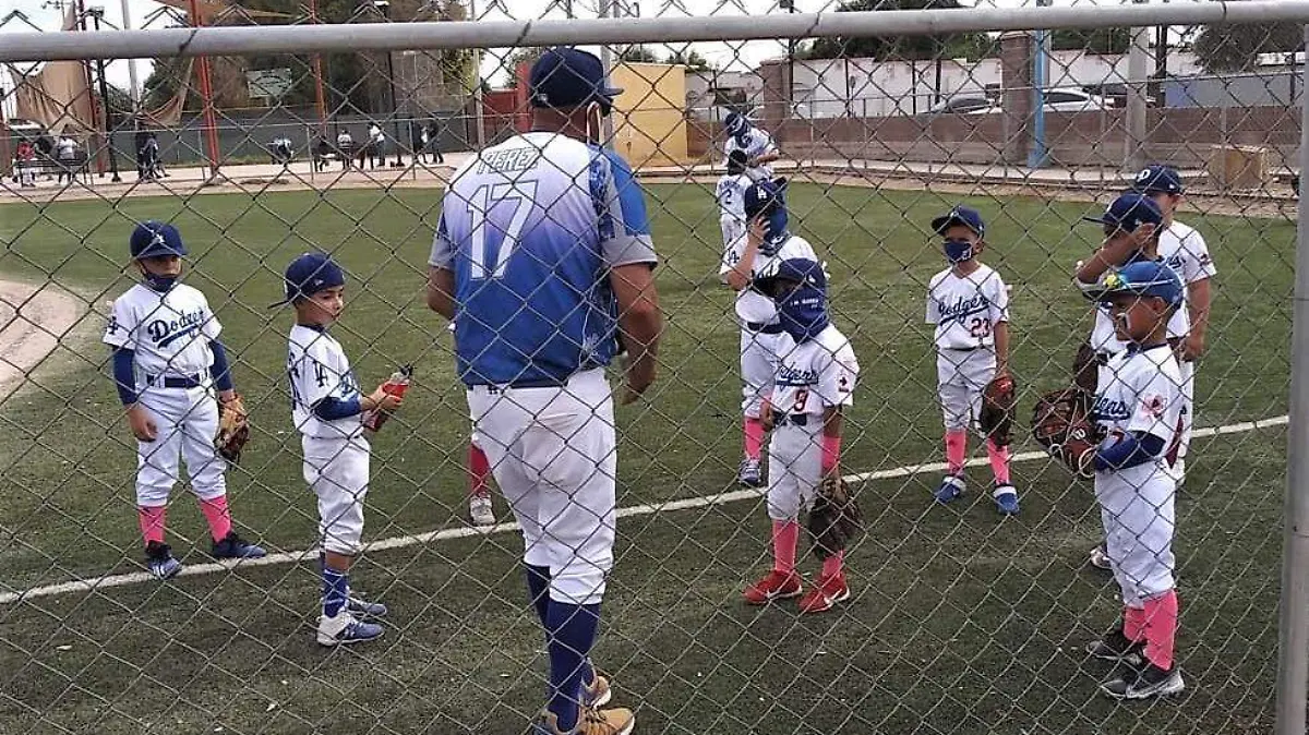 WhatsApp Image 2020-12-11 at 10.46.51 AM