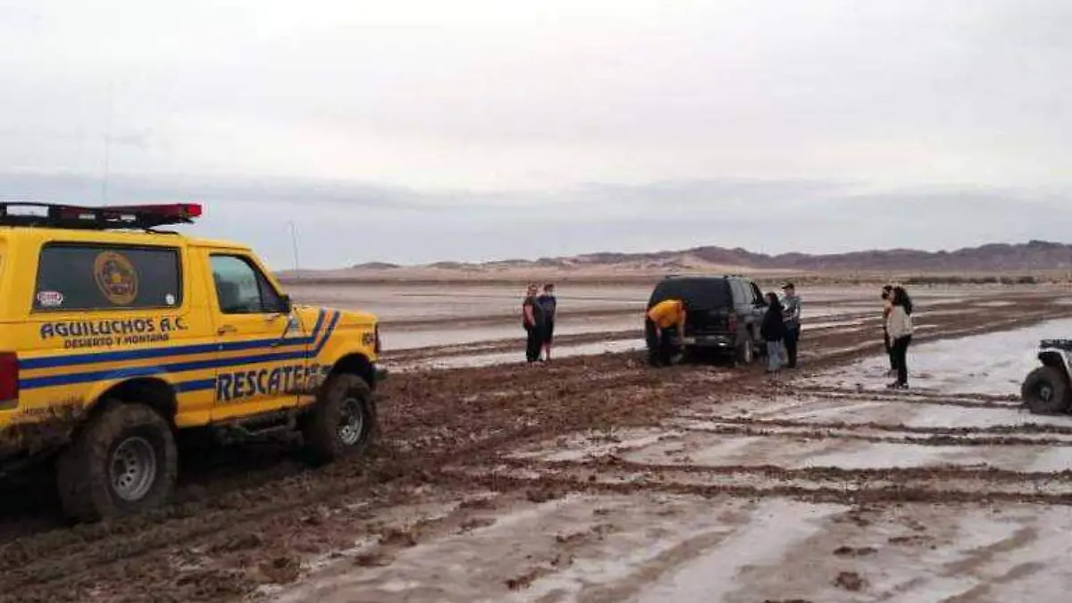 0ca5de54-0615-49af-acca-fb692a458553