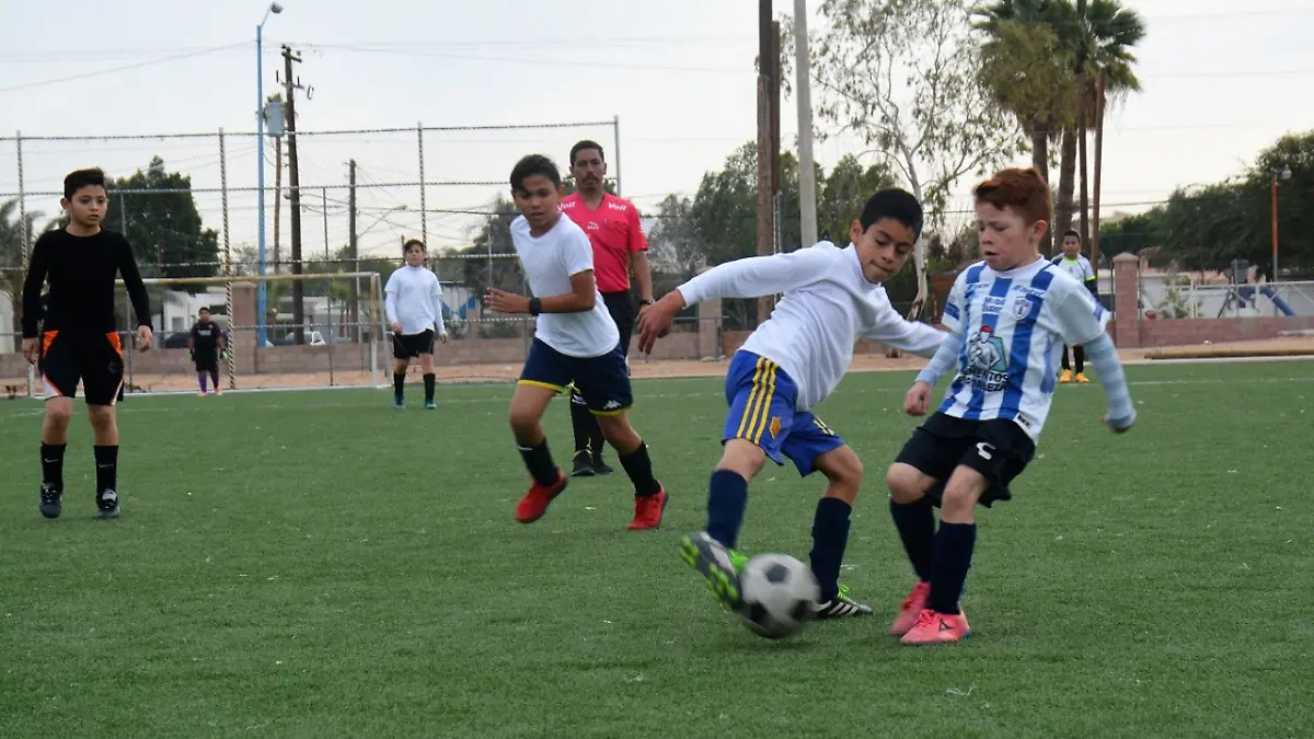 futbol 