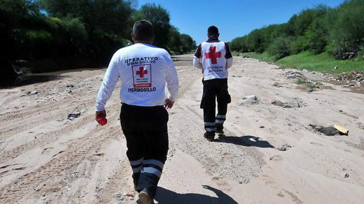 c3f5c0aa-7acb-4daa-9d10-0f258bcf0c35