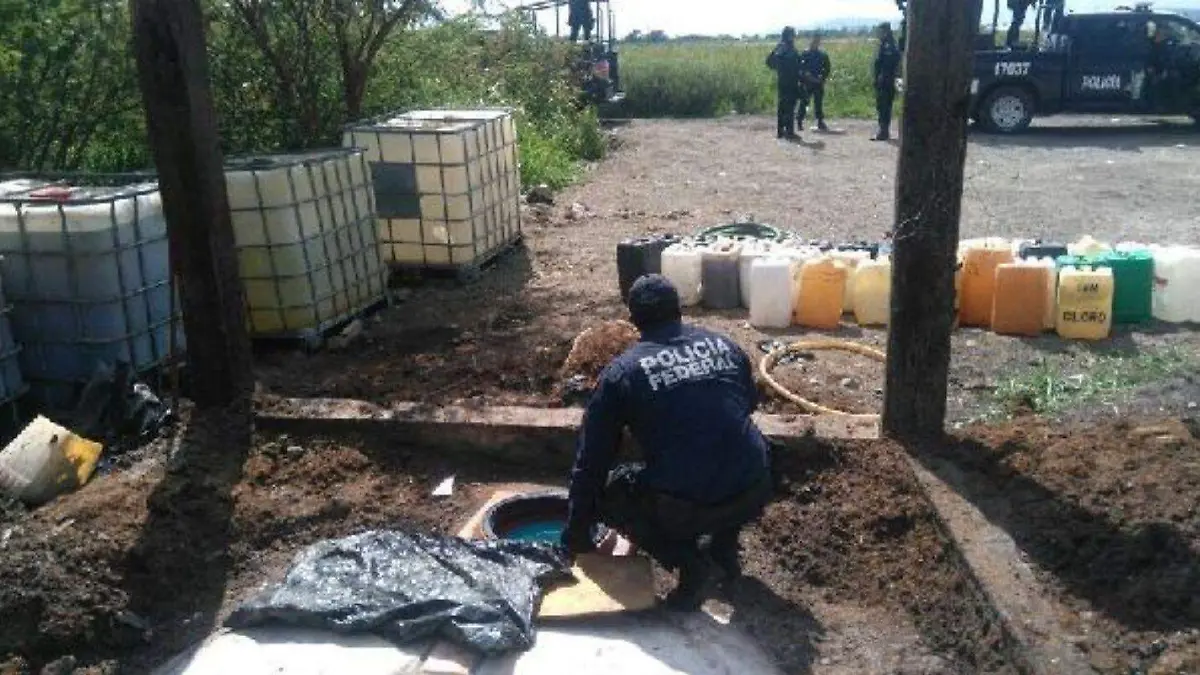 313679079_1.jpg_1834093470