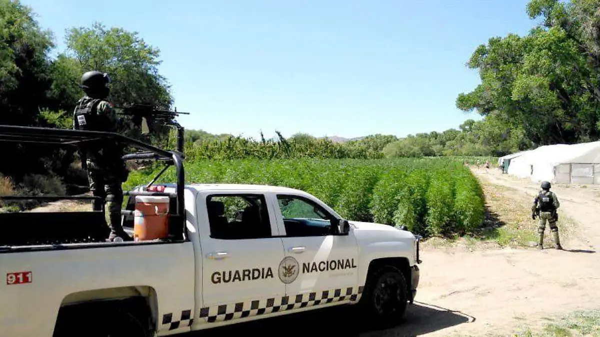 WhatsApp Image 2020-05-18 at 1.18.16 PM